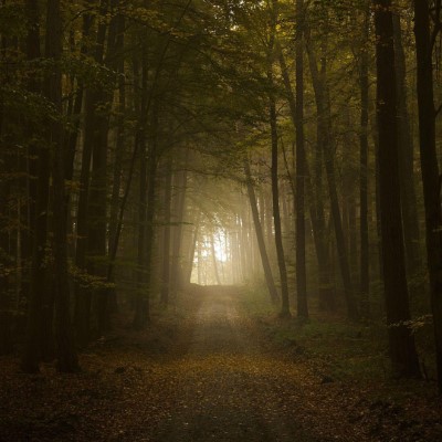 1920 x 1080 HD Wallpapers 1894